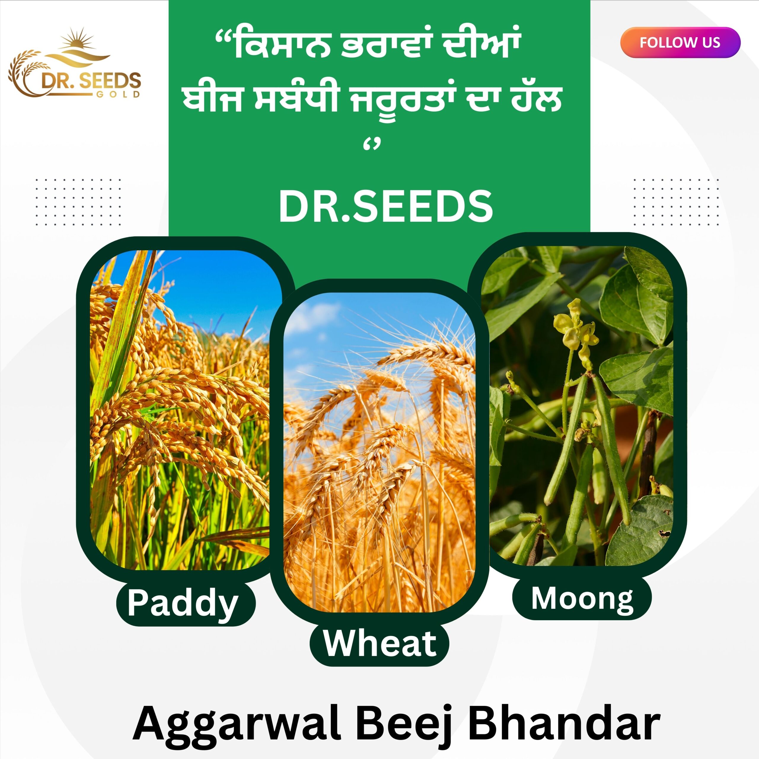 SEEDS BY DR SEEDS
