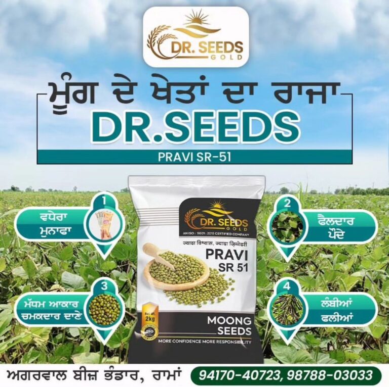 DR SEEDS PRAVI MOONG SEED