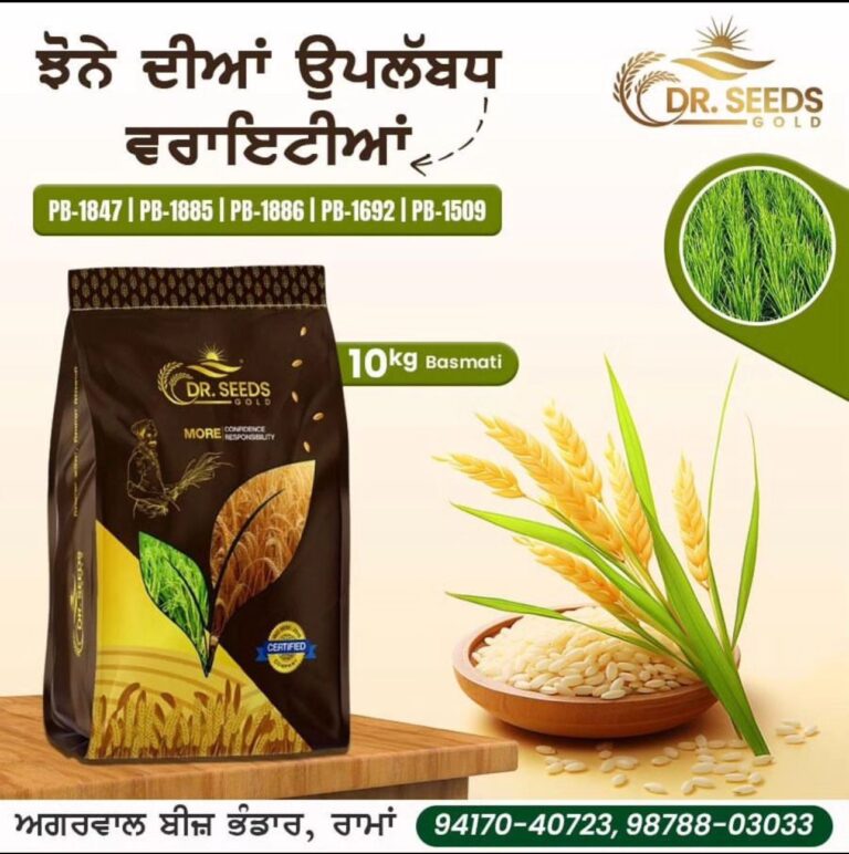 DR SEEDS PADDY SEED