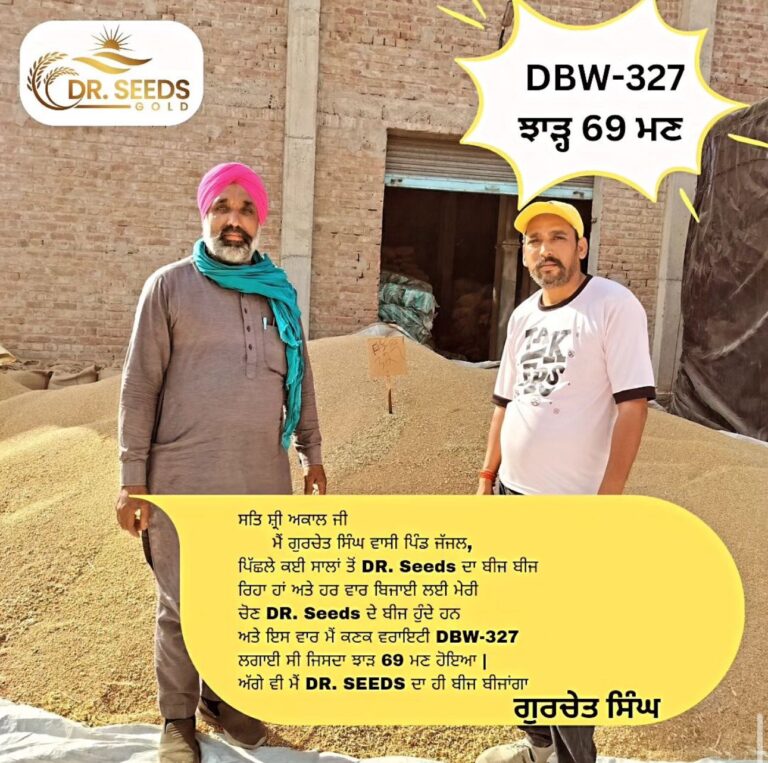 DR SEEDS TESTIMONIAL