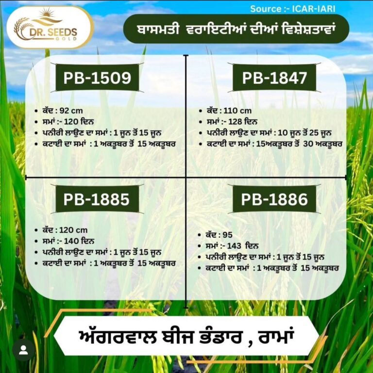 PADDY VARITIES