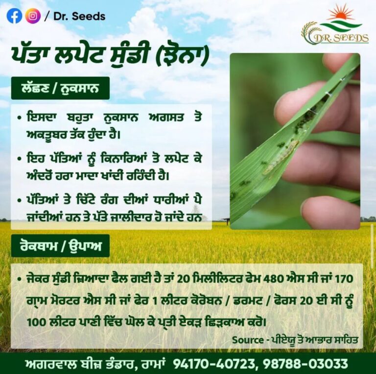 DR SEEDS GUIDANCE ON PADDY