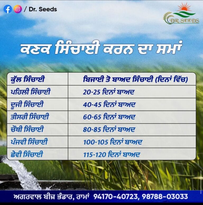 GUIDANCE ON FARMING BY AGGARWAL BEEJ BHANDAR