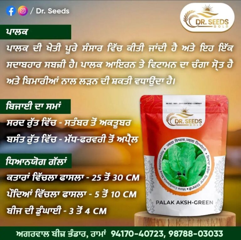 GUIDANCE ON RIGHT TIME TO GROW SEEDS BY AGGARWAL BEEJ BHANDAR
