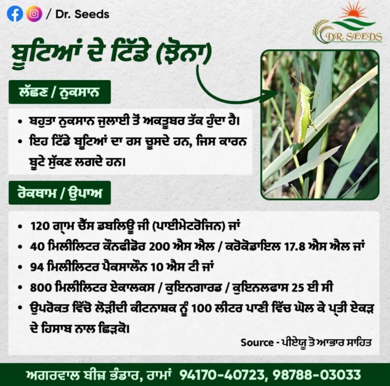 GUIDANCE ON PADDY BY AGGARWAL BEEJ BHANDAR