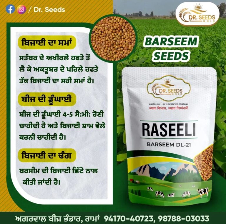 RASEELI BASMATI SEED BY AGGARWAL BEEJ BHANDAR