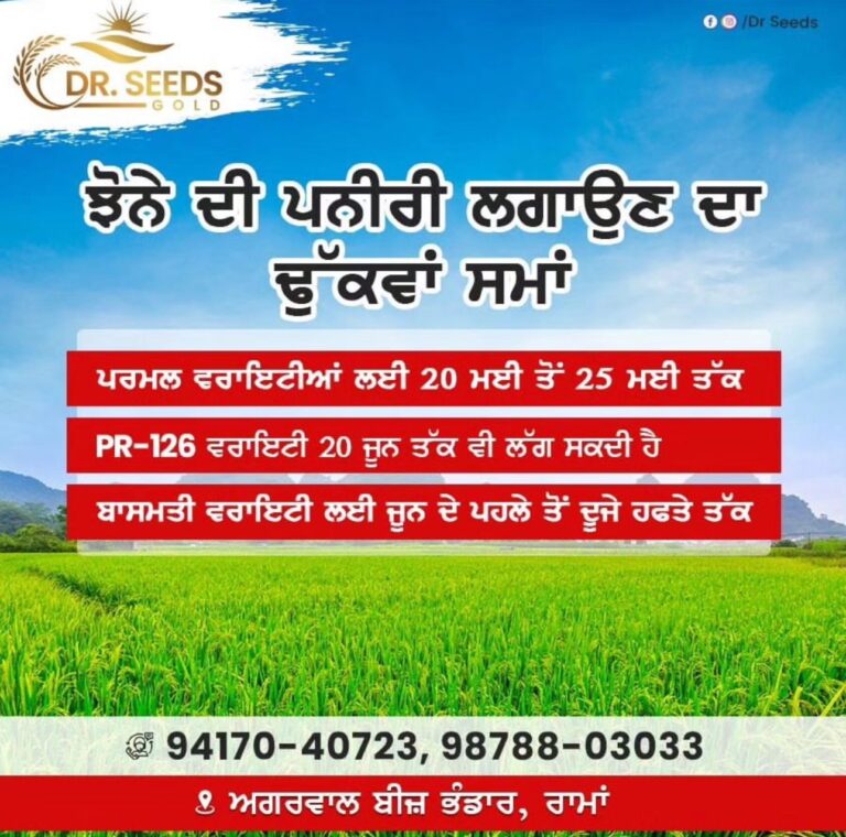WHEN TO GROW THW PADDY GUIDE BY DR SEEDS