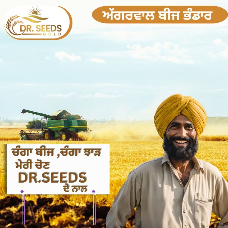 ਚੰਗਾ ਬੀਜ ,ਚੰਗਾ ਝਾੜ WITH DR SEEDS